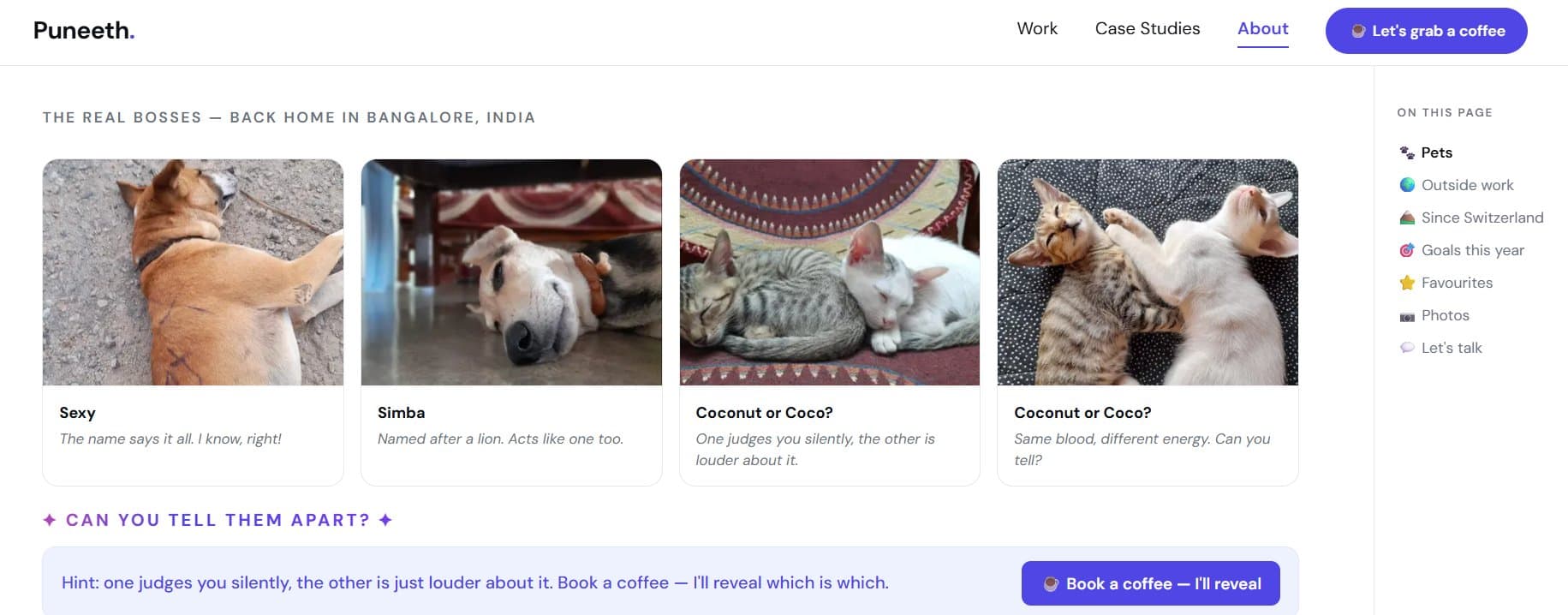 Puneeth portfolio about page — pets section